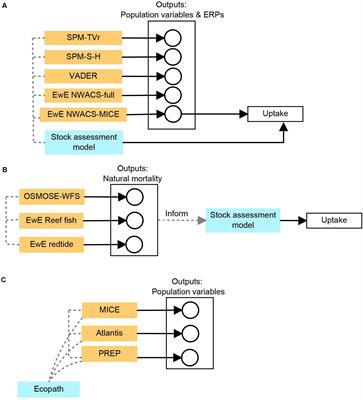 It’s Not the Destination, It’s the Journey: Multispecies Model Ensembles for Ecosystem Approaches to Fisheries Management